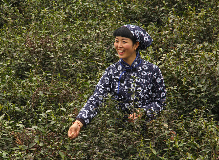 热门推荐10